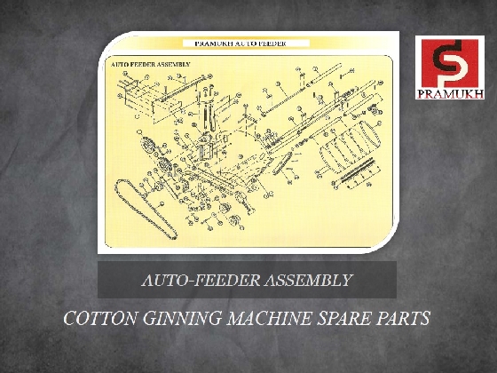 auto-feeder assembly